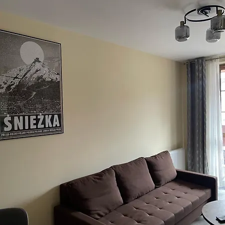 And Chill カルパッチ