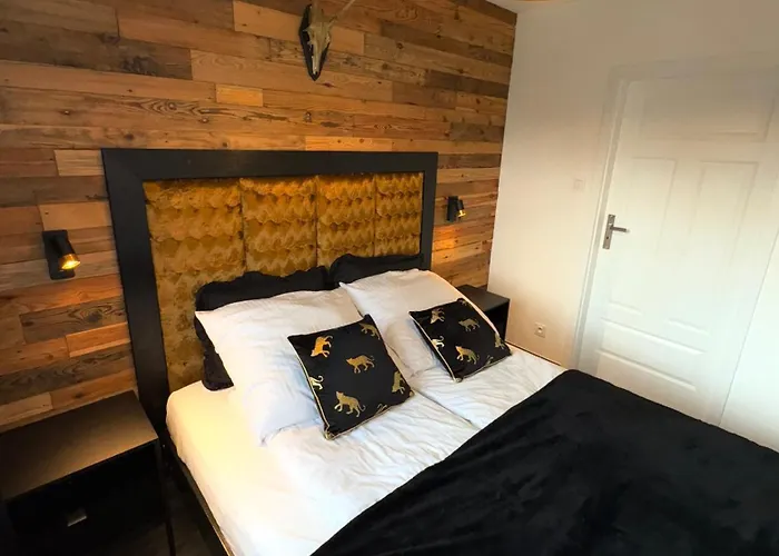 And Chill كارباش